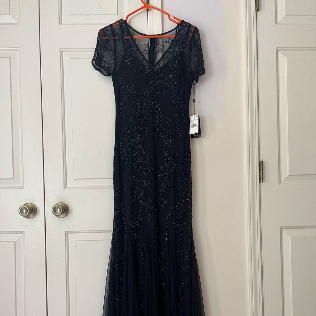 Nwt Adrianna Papell Evening Gown Size 4